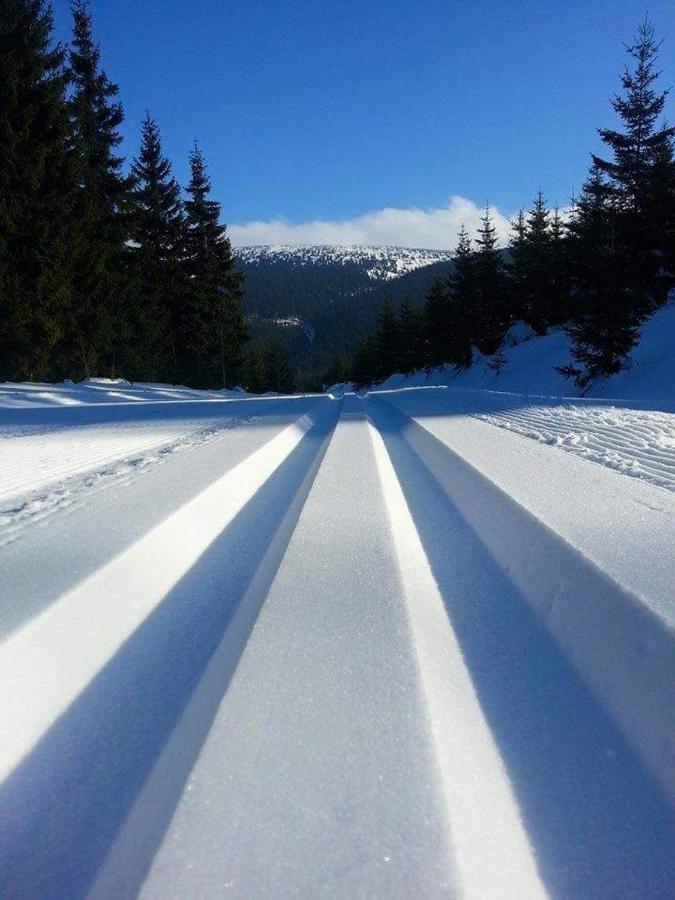 Pensjonat Trojak Lądek-Zdrój エクステリア 写真
