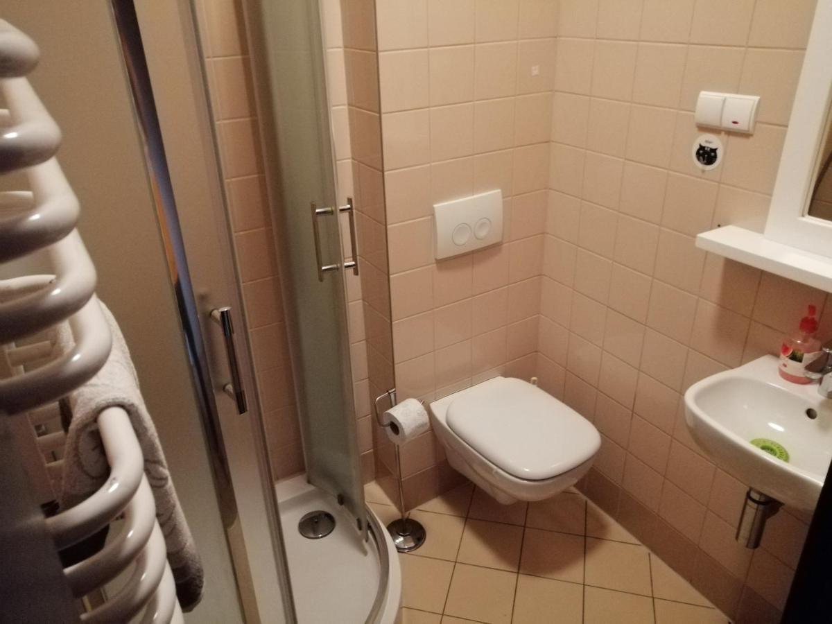 Pensjonat Trojak Lądek-Zdrój エクステリア 写真